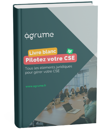 Livre blanc : Pilotez votre CSE