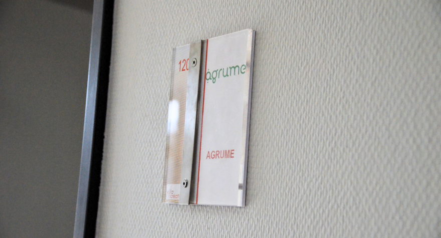 Agrume - Notre histoire